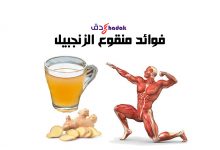 منقوع الزنجبيل وفوائده للجسم 49 فوائد منقوع الزنجبيل