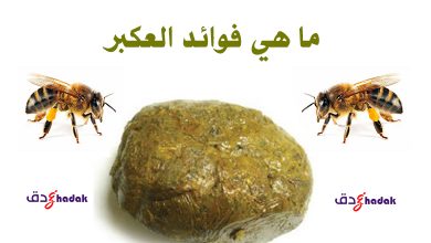 ما هي فوائد العكبر 13 ما هي فوائد العكبر
