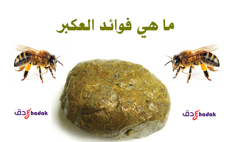 ما هي فوائد العكبر