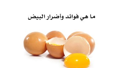 ما هي فوائد وأضرار البيض 22 فوائد_وأضرار_البيض
