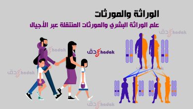 الوراثة والمورثات 