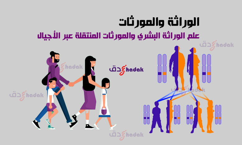 الوراثة والمورثات 