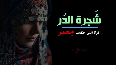 شجرة الدر المرأة التي حكمت مصر 11 شجرة الدر المرأة التي حكمت مصر