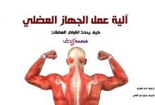 الجهاز العضلي