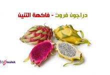 دراجون فروت فاكهة بيتايا التنين