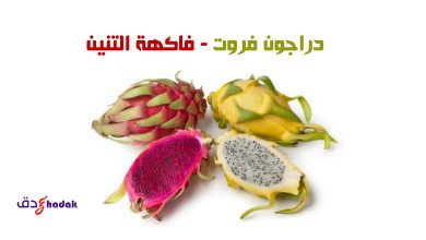 دراجون فروت فاكهة بيتايا التنين