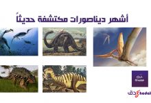 أشهر ديناصورات مكتشفة حديثاً