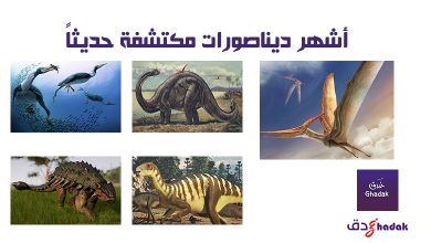 أشهر ديناصورات مكتشفة حديثاً 33 أشهر ديناصورات مكتشفة حديثاً