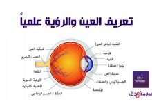 تعريف العين والرؤية علمياً