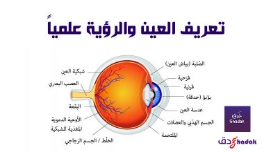 تعريف العين والرؤية علمياً