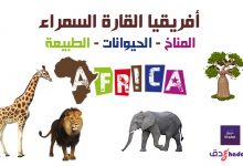 أفريقيا القارة السمراء مناخها وحيوانتها