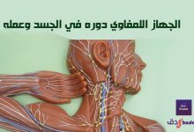 الجهاز اللمفاوي دوره في الجسد وعمله 60 الجهاز اللمفاوي دوره في الجسد وعمله