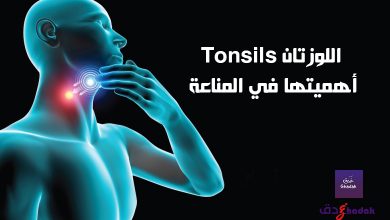 اللوزتان Tonsils أهميتها في المناعة 36 اللوزتان Tonsils أهميتها في المناعة