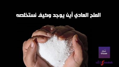 الملح العادي أين يوجد وكيف نستخلصه