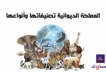 المملكة الحيوانية تصنيفاتها وأنواعها 87 المملكة الحيوانية تصنيفاتها وأنواعها