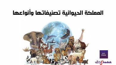 المملكة الحيوانية تصنيفاتها وأنواعها 31 المملكة الحيوانية تصنيفاتها وأنواعها