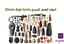 أدوات العصر الحجري Stone Age tools