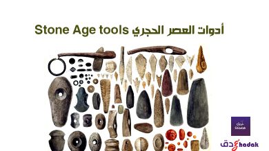 أدوات العصر الحجري Stone Age tools