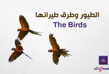 الطيور وطرق طيرانها The Birds