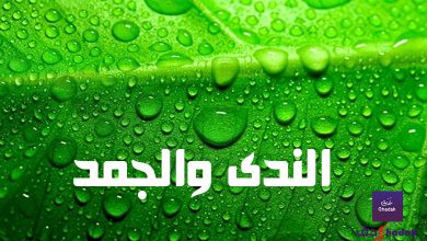 الندى والجمد 6 الندى والجمد