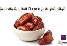 فوائد ثمار التمر dates العلاجية والصحية 82 فوائد ثمار التمر dates العلاجية والصحية