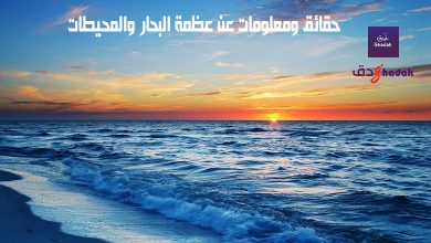 حقائق ومعلومات عن عظمة البحار والمحيطات 30 حقائق ومعلومات عن عظمة البحار والمحيطات