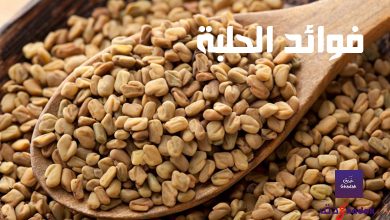 8 فوائد الحلبة لزيادة الوزن والعلاج 12 فوائد الحلبة لزيادة الوزن والعلاج