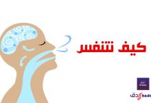 كيف نتنفس How do we breathe 86 كيف نتنفس How do we breathe