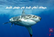 حيوانات أعالي البحار في كوكب الأرض