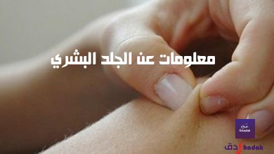 8 معلومات عن الجلد البشري Human skin 7 معلومات عن الجلد البشري