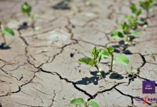 أثر عوامل التعرية على جبال كوكب الأرض 50 أثر عوامل التعرية على جبال كوكب الأرض
