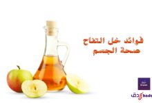 فوائد خل التفاح الـ 12 لصحة الجسم 69 فوائد خل التفاح لصحة الجسم