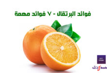 فوائد البرتقال - 7 فوائد مهمة 75 فوائد البرتقال - 7 فوائد مهمة