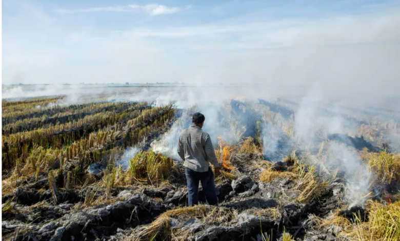 ظاهرة النينو الكبيرة قادمة