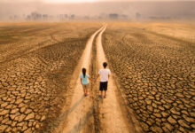 النار على حدود الماء قضية المياه في الوطن العربي