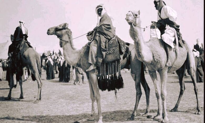 تاريخ شبه الجزيرة العربية الثقافة البدوية 1 تاريخ شبه الجزيرة العربية الثقافة البدوية